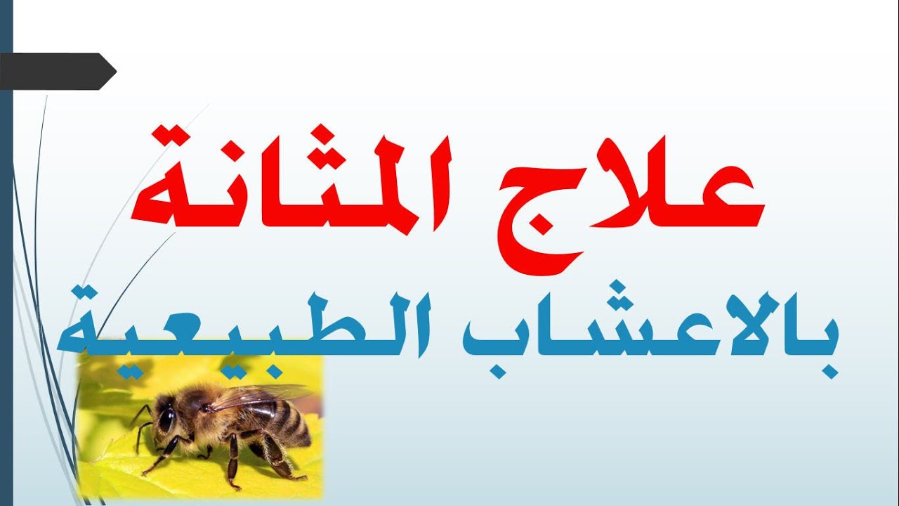 التهاب البول ما علاجه 703 1