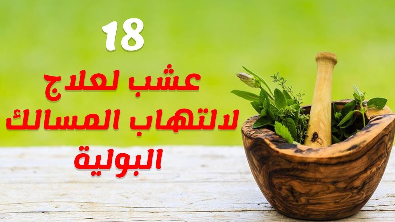 التهاب البول ما علاجه 703