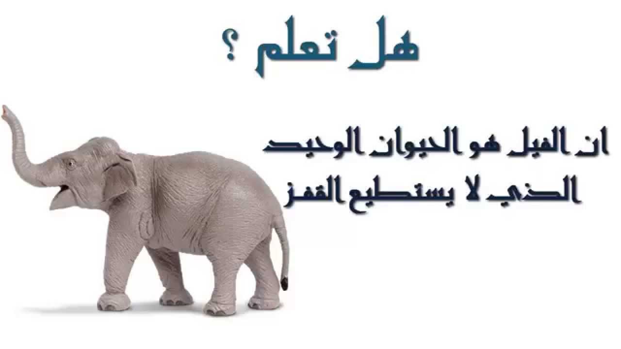 حقائق علمية مضحكة 376