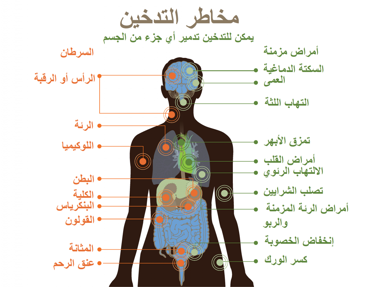 كيف يؤثر التدخين على شكل الجسم , اضرار التدخين وتاثراته علي الجسم