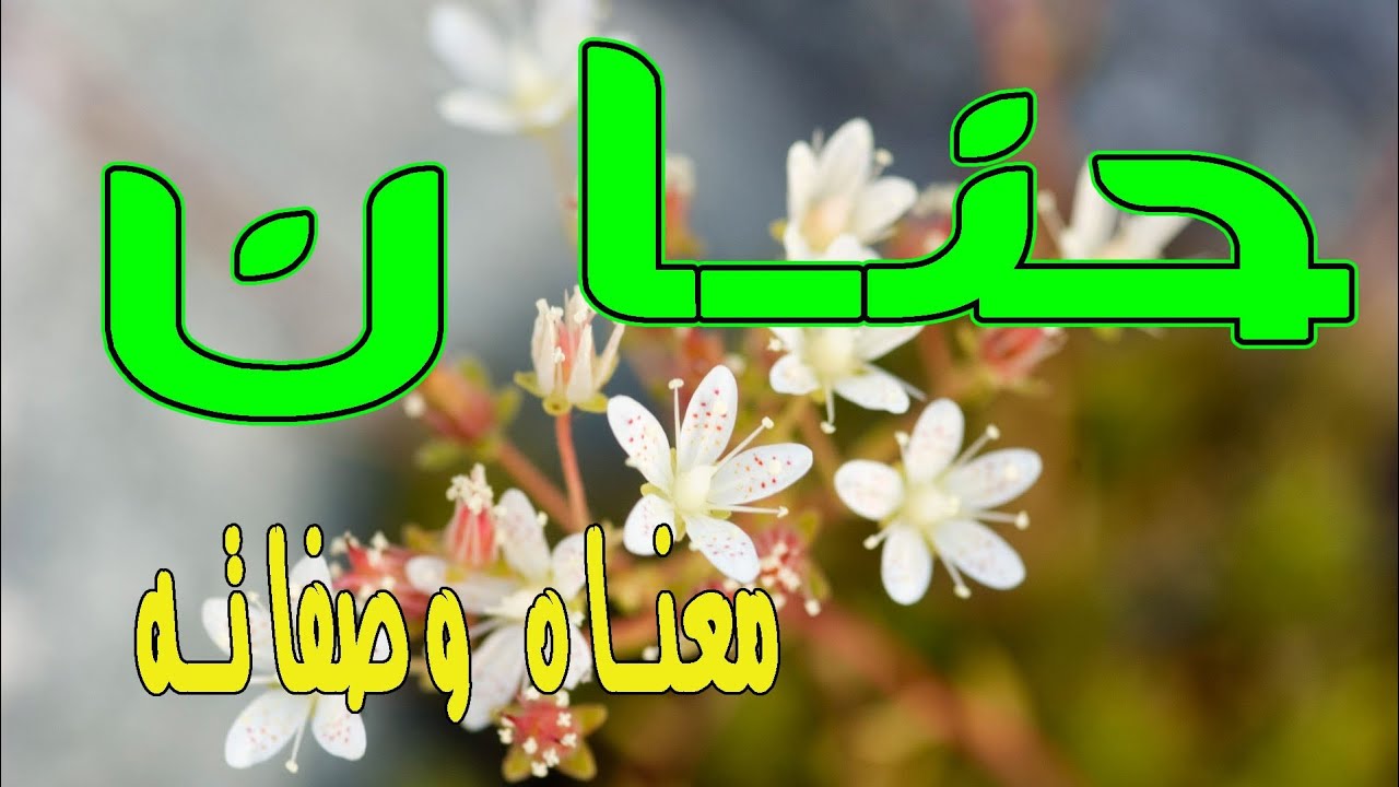 معنى اسم حنان - ما معني اسم حنان 2705