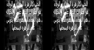 اغنية زكارة نكارة واش تحبي 2013 HD 3D FOOR YouTube - YouTube