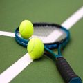 معلومات عن كرة التنس – مجتمع أراجيك
