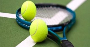 معلومات عن كرة التنس – مجتمع أراجيك