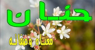 معنى اسم حنان و صفات حاملة هذا الإسم !! - YouTube
